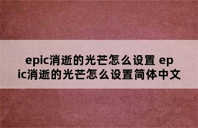 epic消逝的光芒怎么设置 epic消逝的光芒怎么设置简体中文